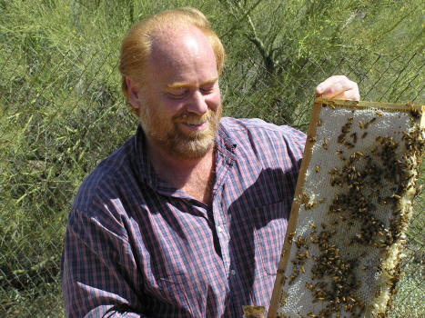 Apiarist / Beekeeper working A Honey bee hive.