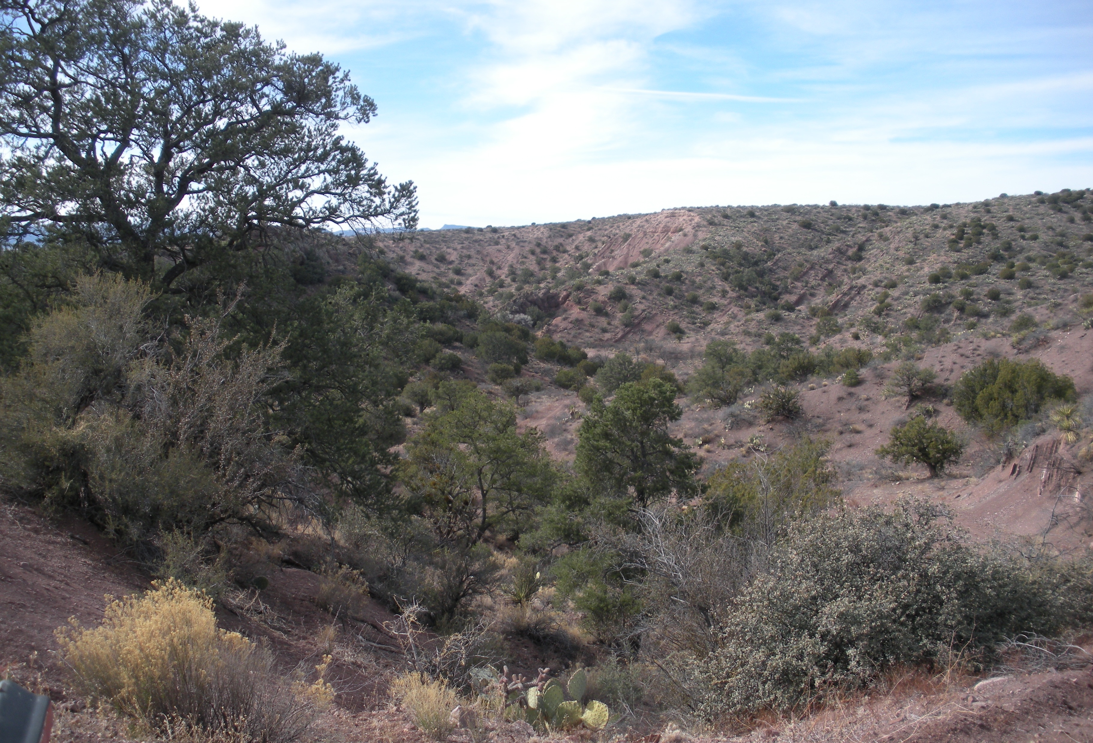 Part of the 79 acre Apiary