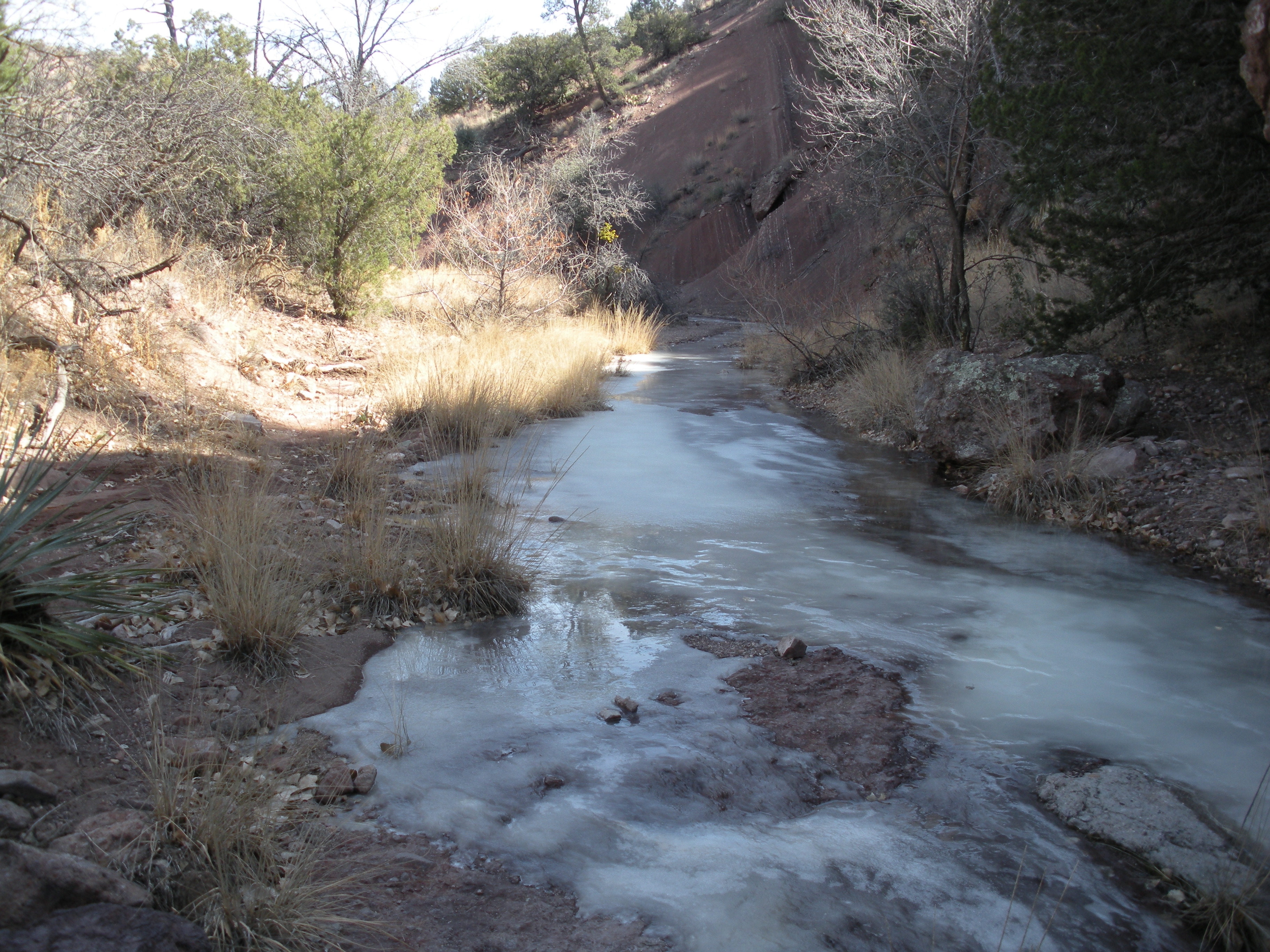 Frozen Stream