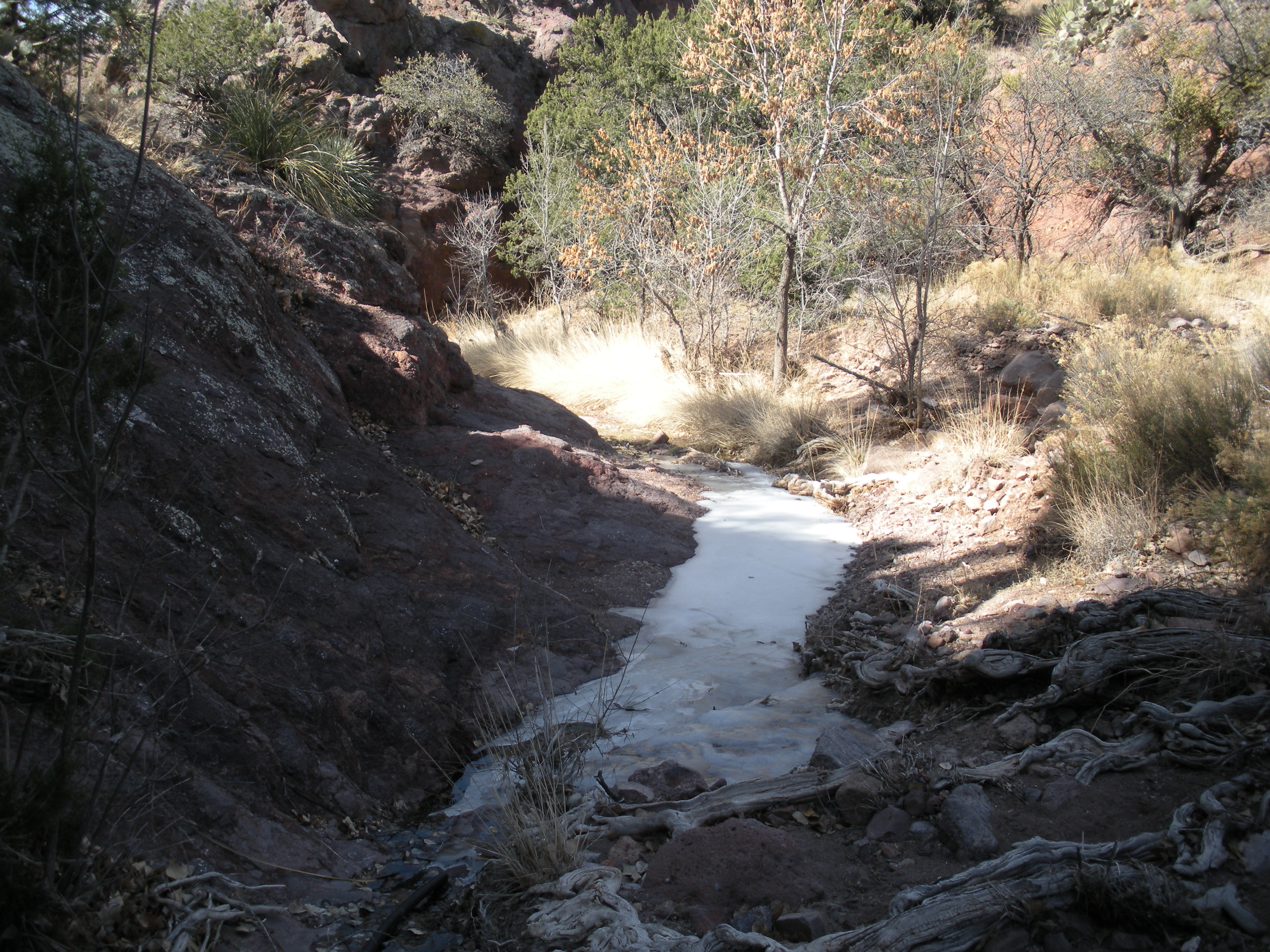 Frozen stream